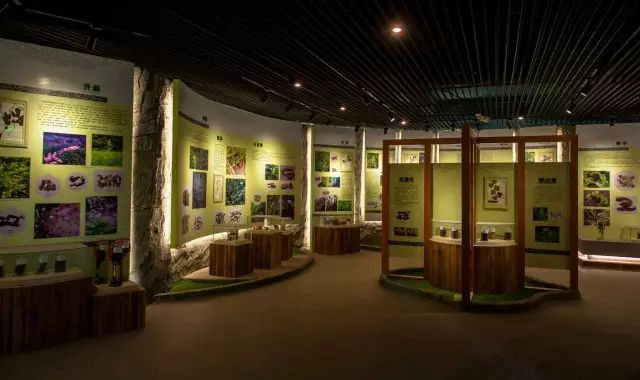 奇妙博物館丨長(zhǎng)春有個(gè)中醫(yī)藥博物館,你知道嗎?